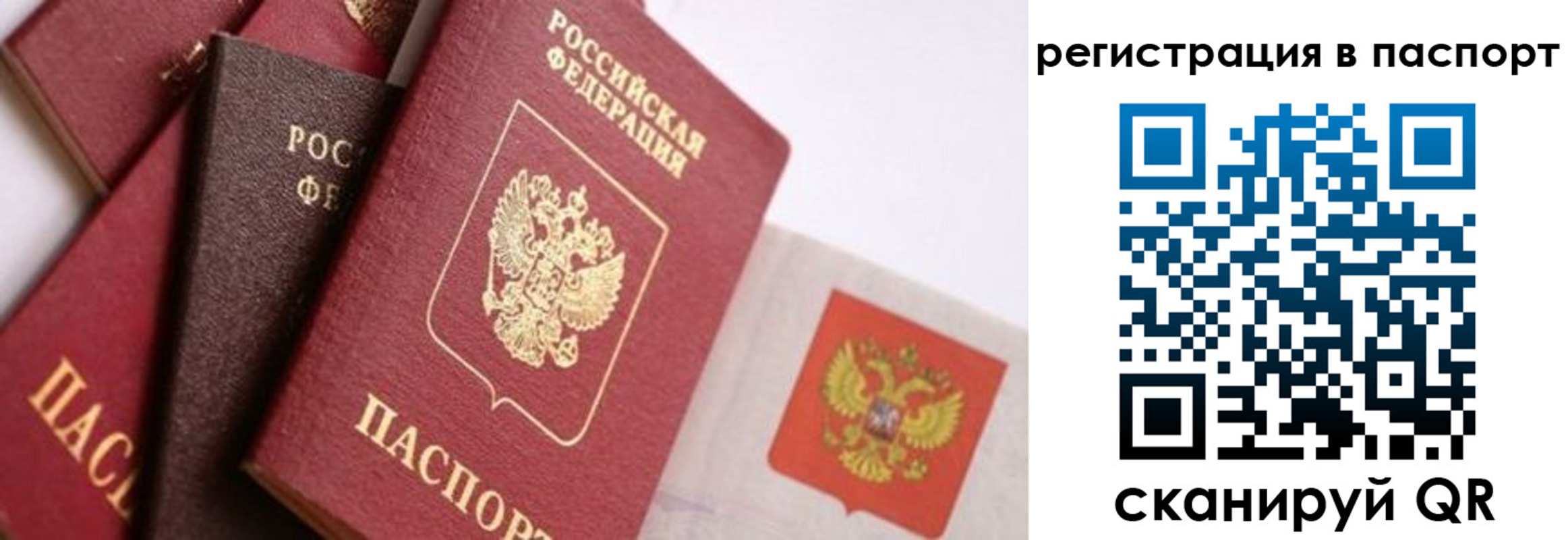 прописка в квартире в Дубовке